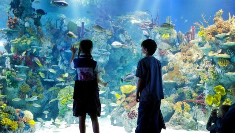 Die 3 besten Aktivitäten im Bristol Aquarium