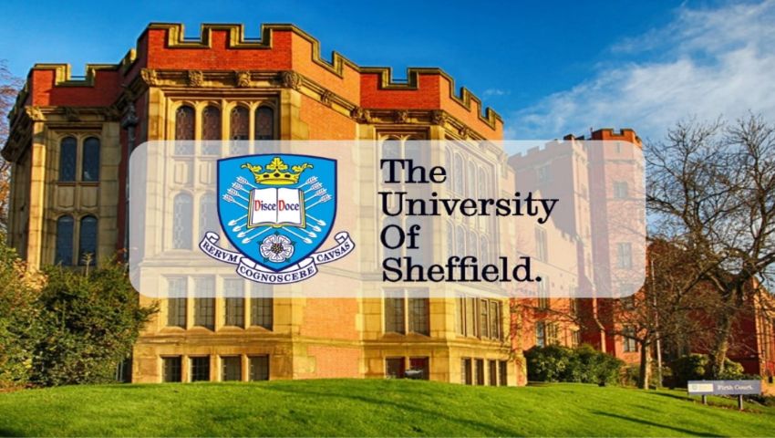 University Of Sheffield 2026 The Smart Choice Most Students Overlook University Of Sheffield 2026 The Smart Choice Most Students Overlook