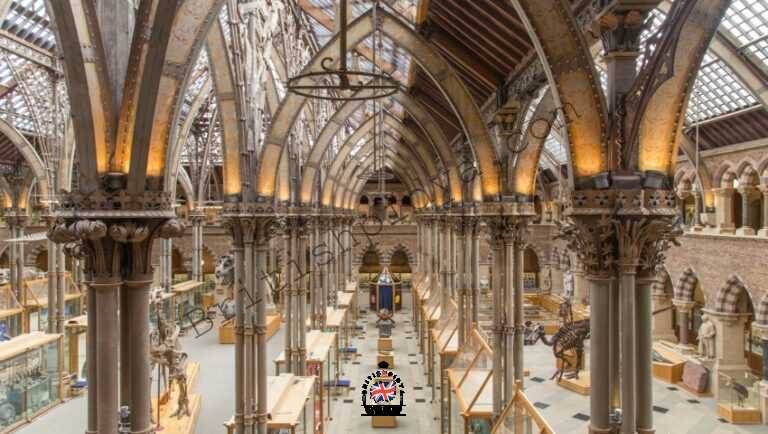 Museo de Historia Natural de Oxford… Tu guía completa 2023